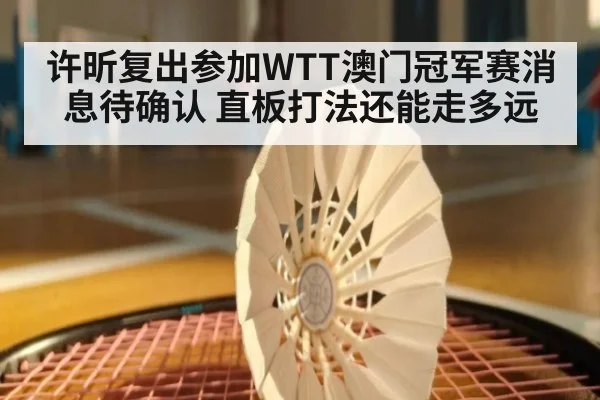 许昕复出参加WTT澳门冠军赛消息待确认 直板打法还能走多远